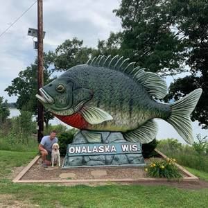 Meet your Posher, Joel